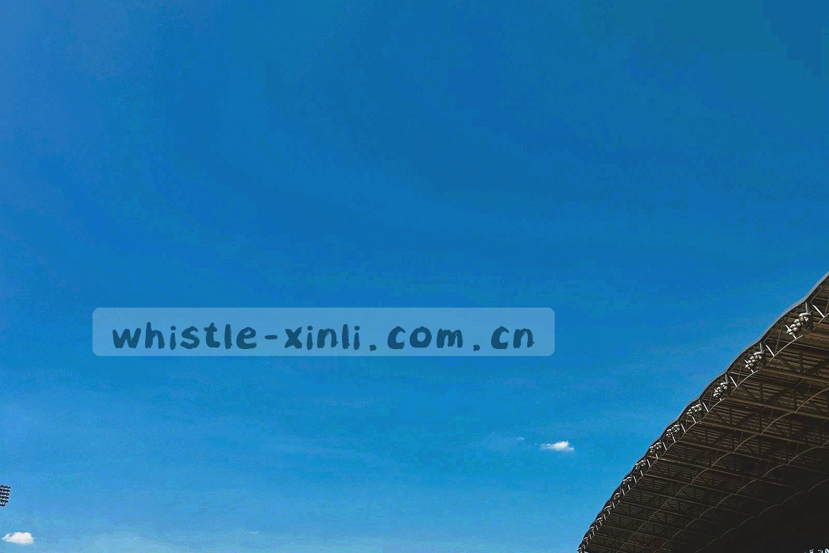 多条不同颜色的数据线汇聚成一条等宽刻度线的抽象图形